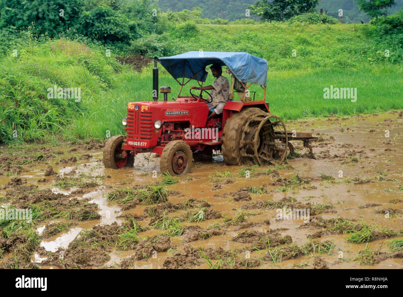 tractor in field, india Stock Photo Alamy