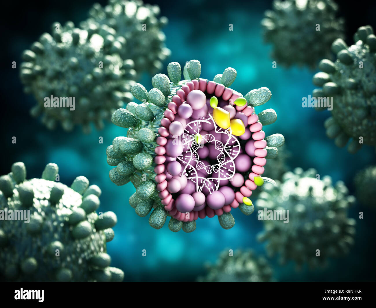 Structural detail of Hepatitis B virus on blue-green background. 3D illustration. Stock Photo