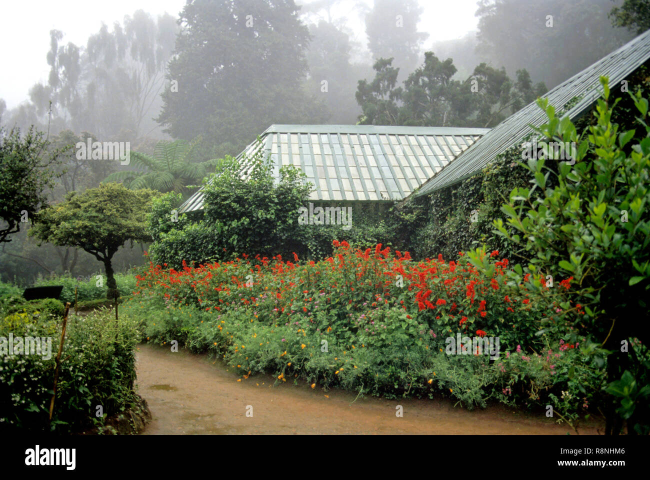 Wood House In Ooty, India Stock Photo