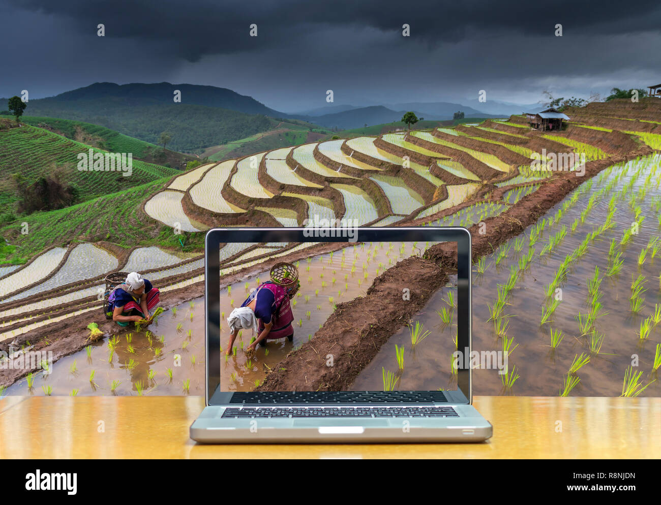 Conceptual image of a computer laptop on Unidentified Mountaineer