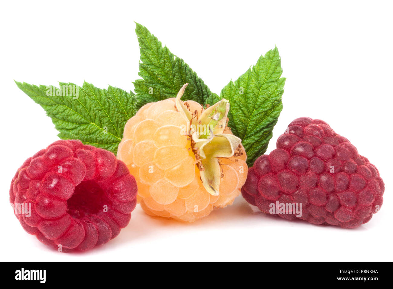 Red Andyellow Raspberry Summer raspberry yellow leaves hi-res stock photography and images - Alamy