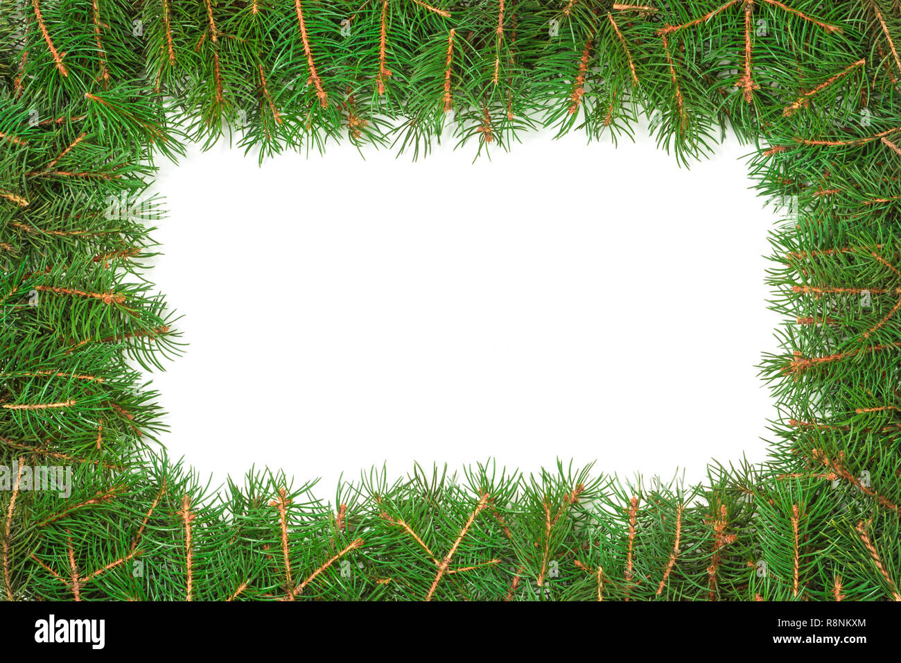 Christmas frame made of fir branches isolated on white background Stock ...