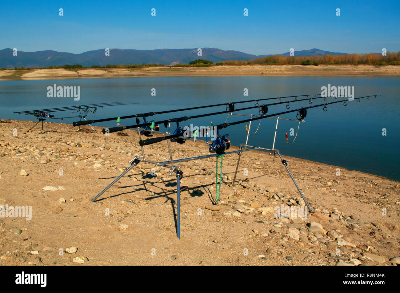 Carp fishing rods Stock Photo