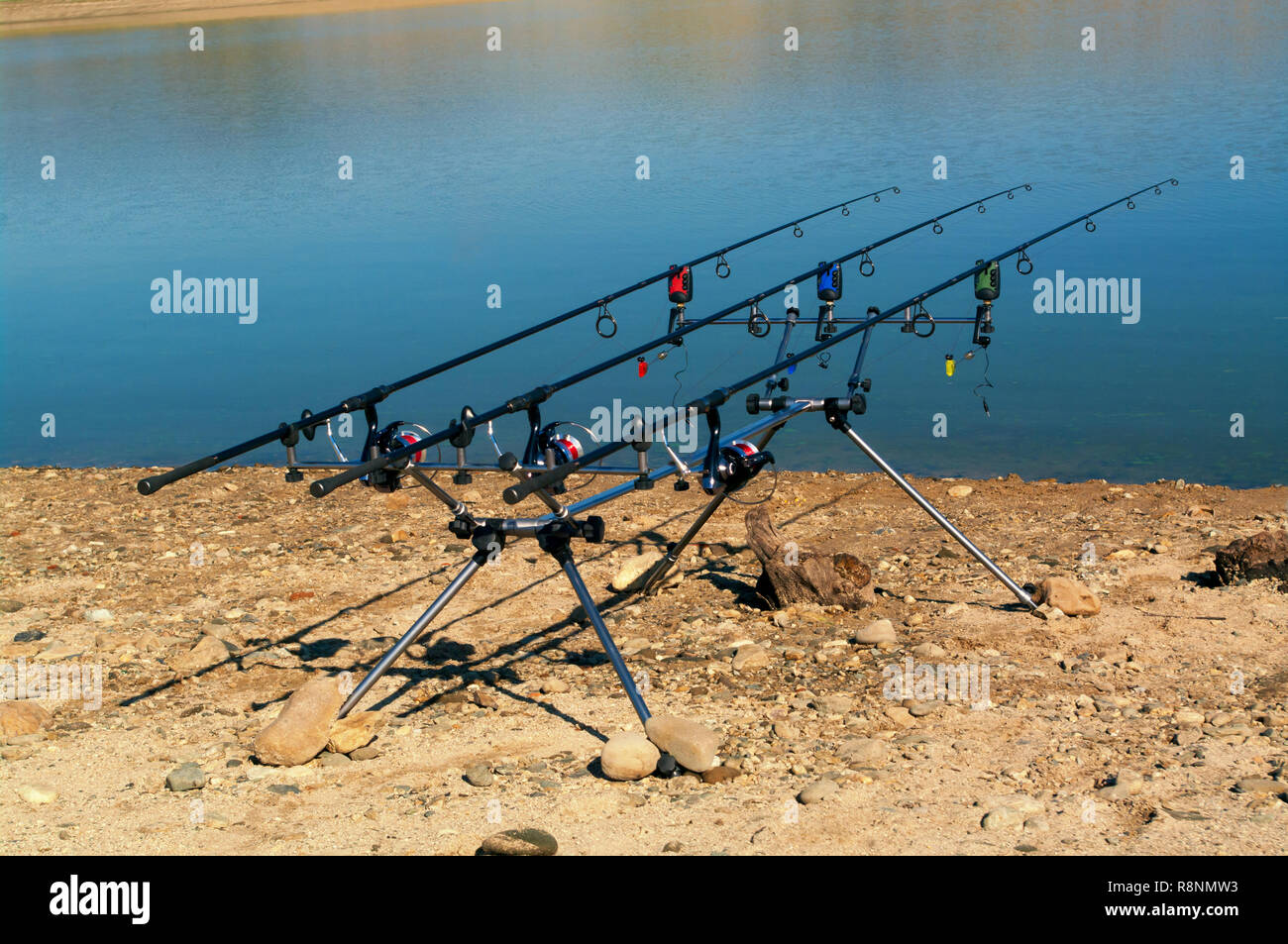 Carp fishing. Rods on a rod pod with the swingers attached ready to catch some fish monster. Stock Photo