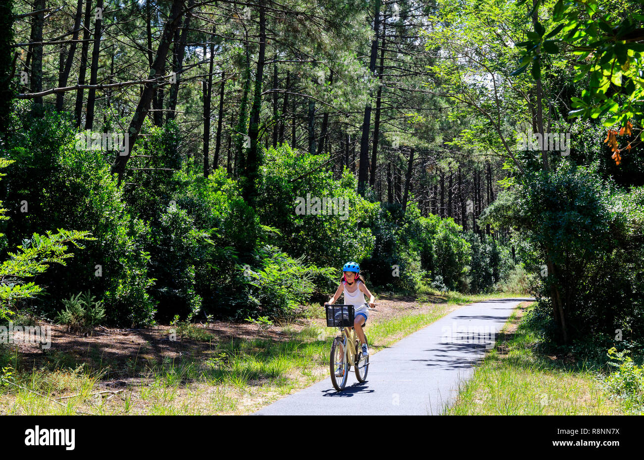 Cap Ferret, France Stock Photo Alamy