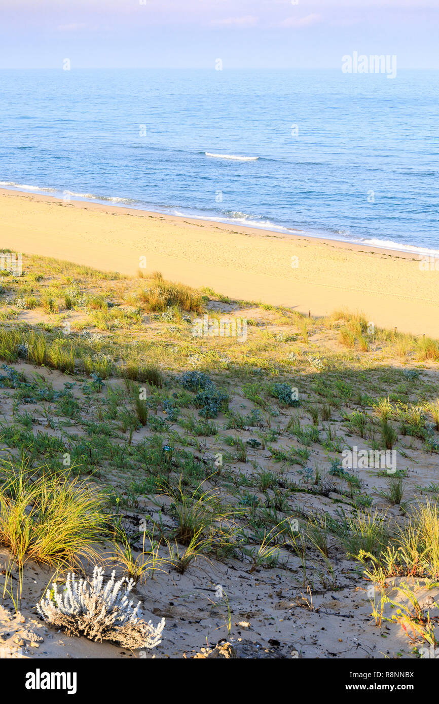 Plage de l'océan,  Cap Ferret, France Stock Photo