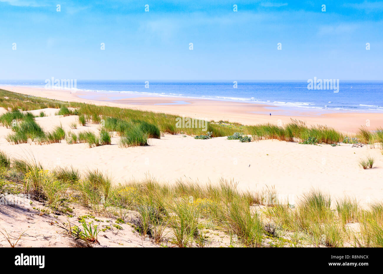 Plage de l'océan,  Cap Ferret, France Stock Photo