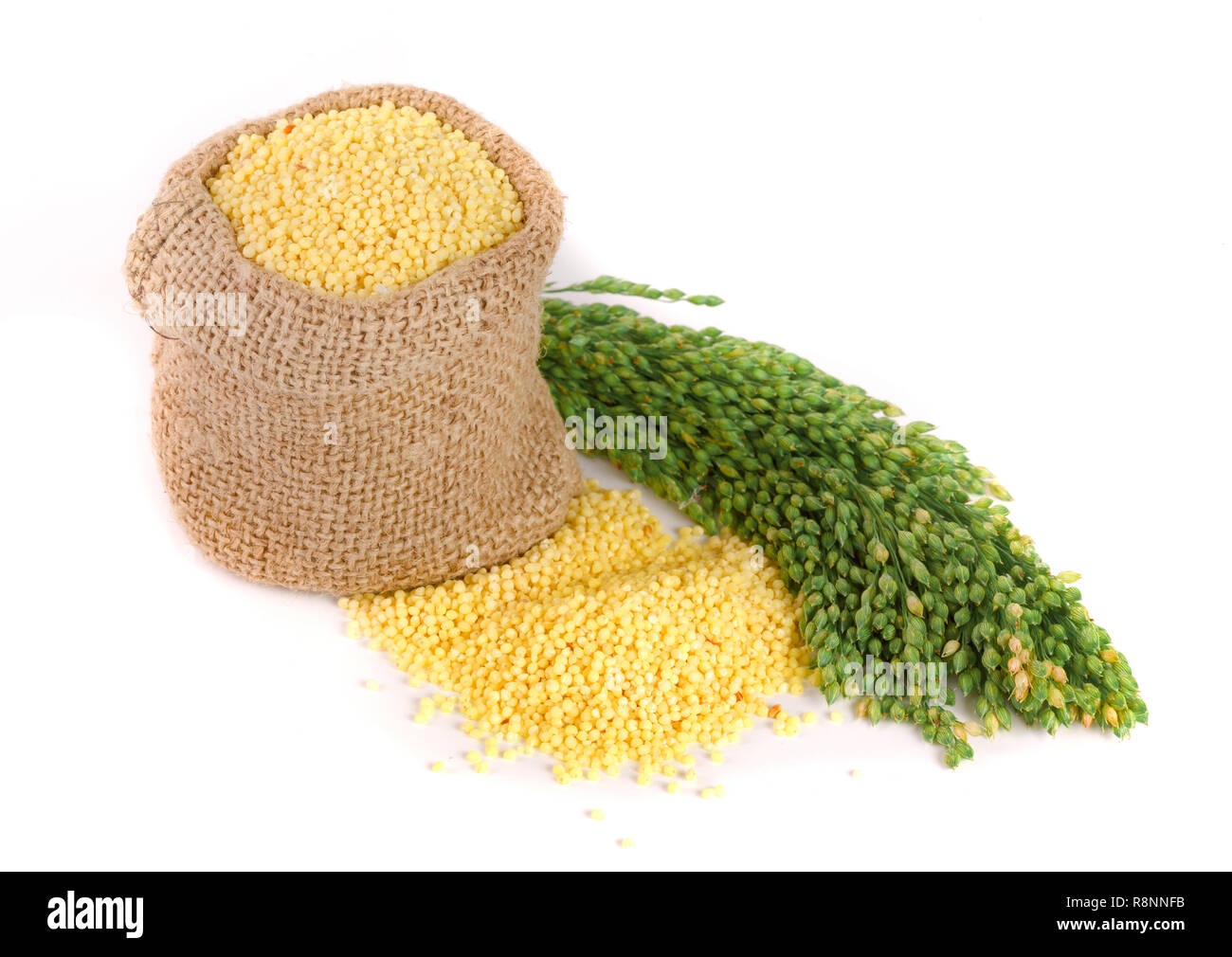 Millet in a bag with green spikelets isolated on white background Stock Photo