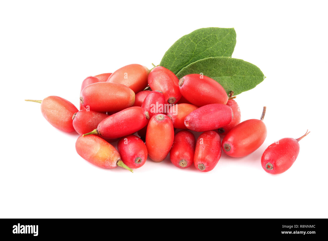 fresh barberry with leaves isolated on a white background Stock Photo