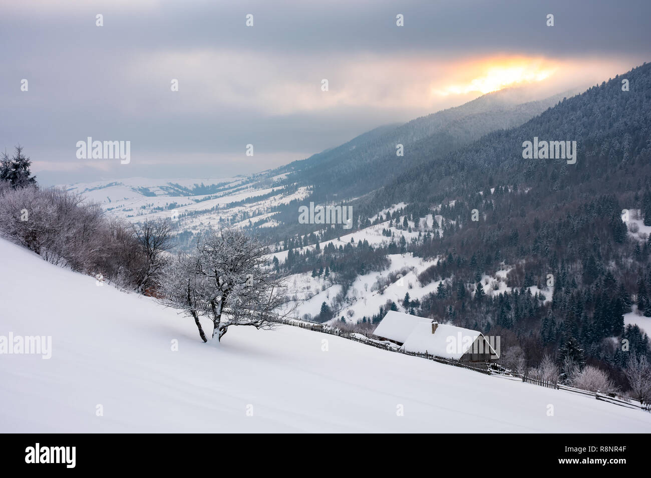 wonderful snowy countryside in mountains. tree and woodshed on a snowy slope. winter sun rise behind the ridge and cloudy sky Stock Photo