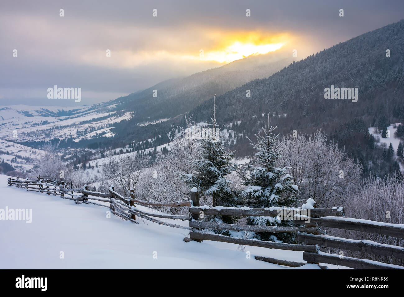 wonderful snowy countryside in mountains. spruce trees and wooden fence on the edge of a slope. winter sun rise behind the ridge and cloudy sky Stock Photo