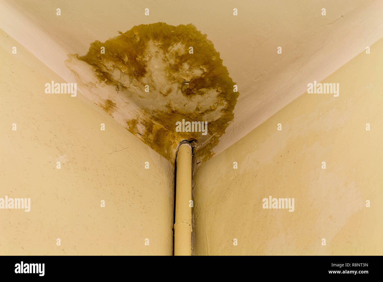 Peeling Paint On The Ceiling Rusty Water Leaking Pipe Stock Photo