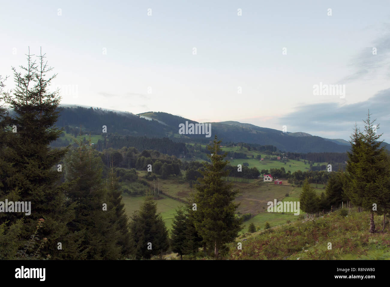 View of forest trees, houses, mountains, valley and beautiful nature. The image is captured in Trabzon/Rize area of Black Sea region located at northe Stock Photo