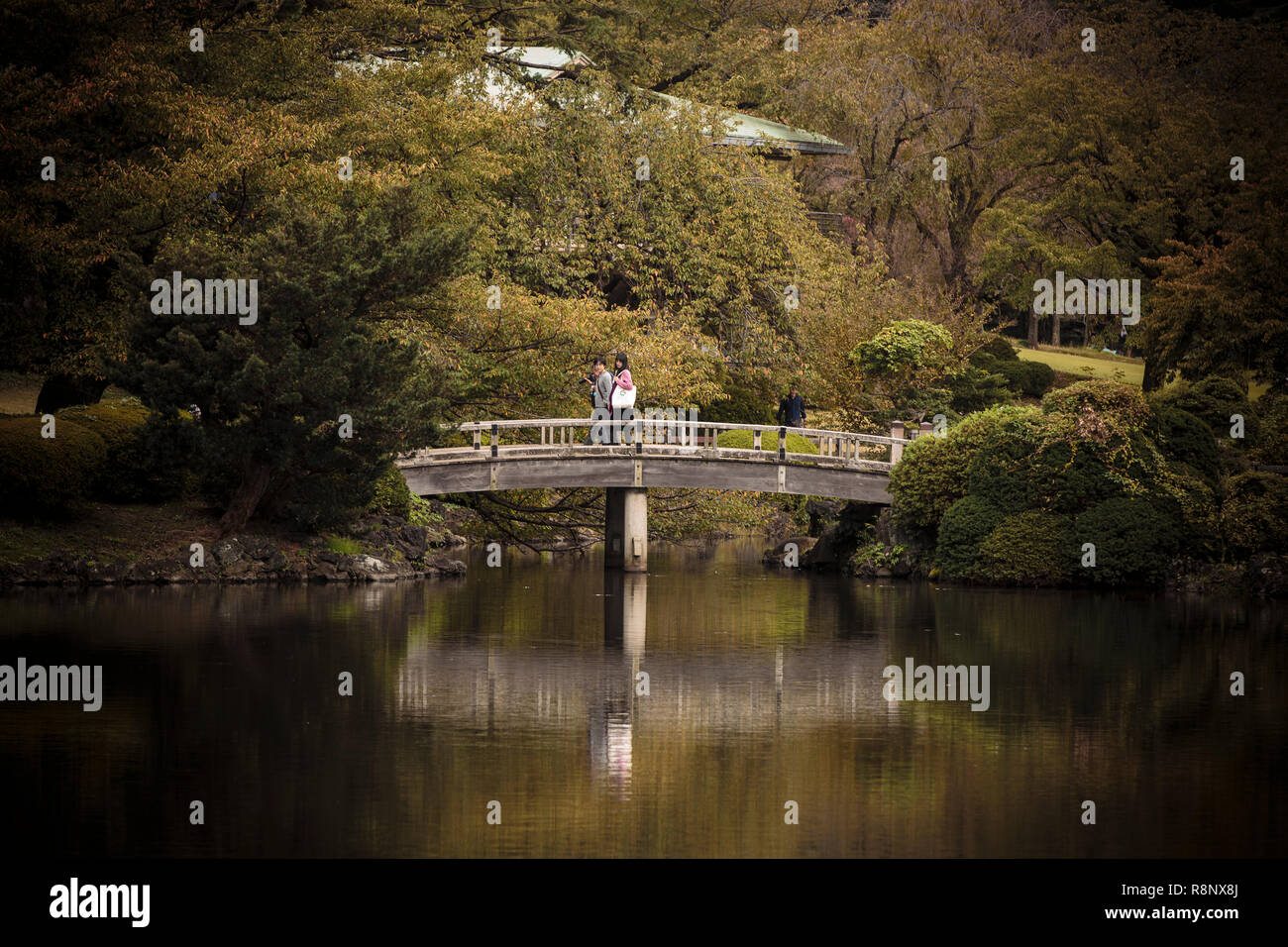 A couple stroll along a park bridge in Shinjuku Gyoen National Garden Stock Photo