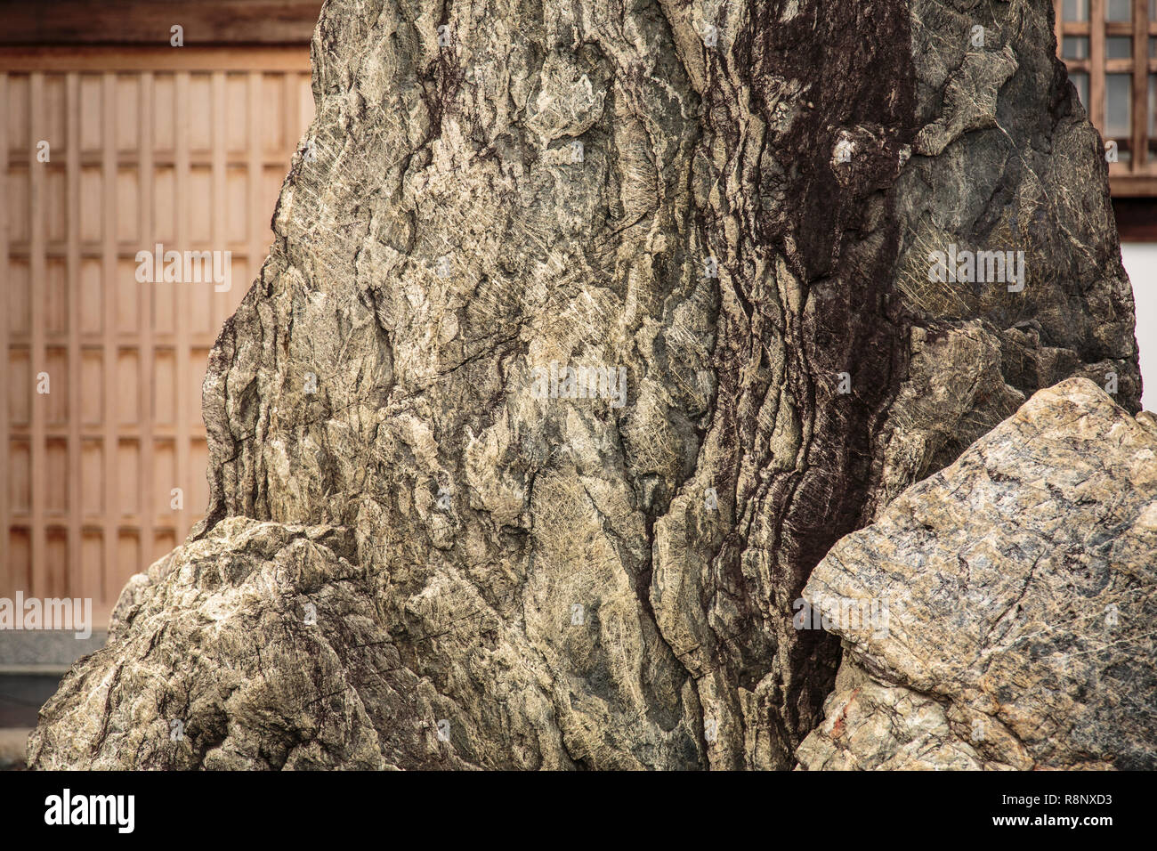 Close-up of huge rock in a garden at Ryoanji temple in Kyoto. Stock Photo