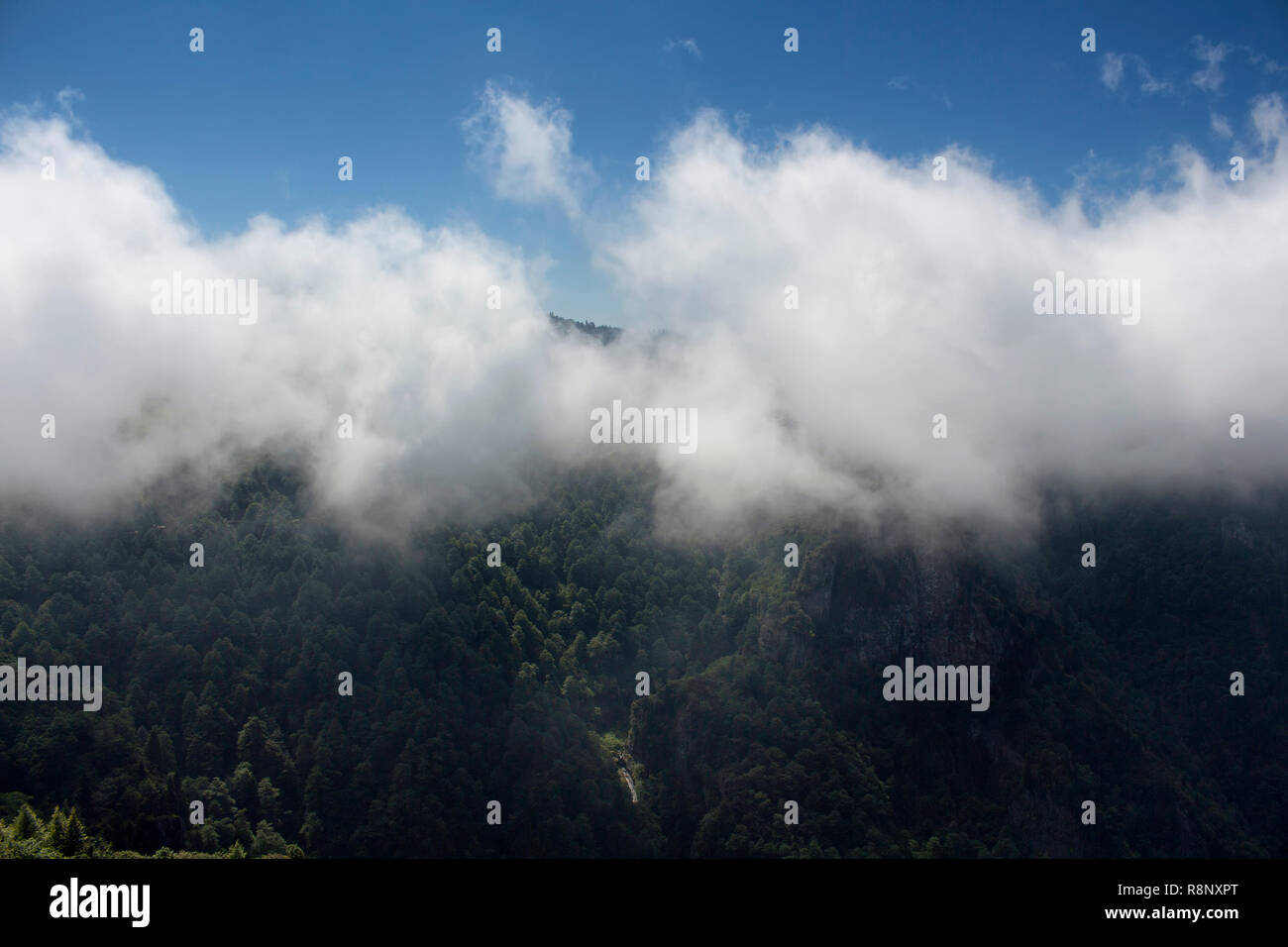 View of mountains, forest in fog creating beautiful nature scene. The image is captured in Trabzon/Rize area of Black Sea region located at northeast  Stock Photo