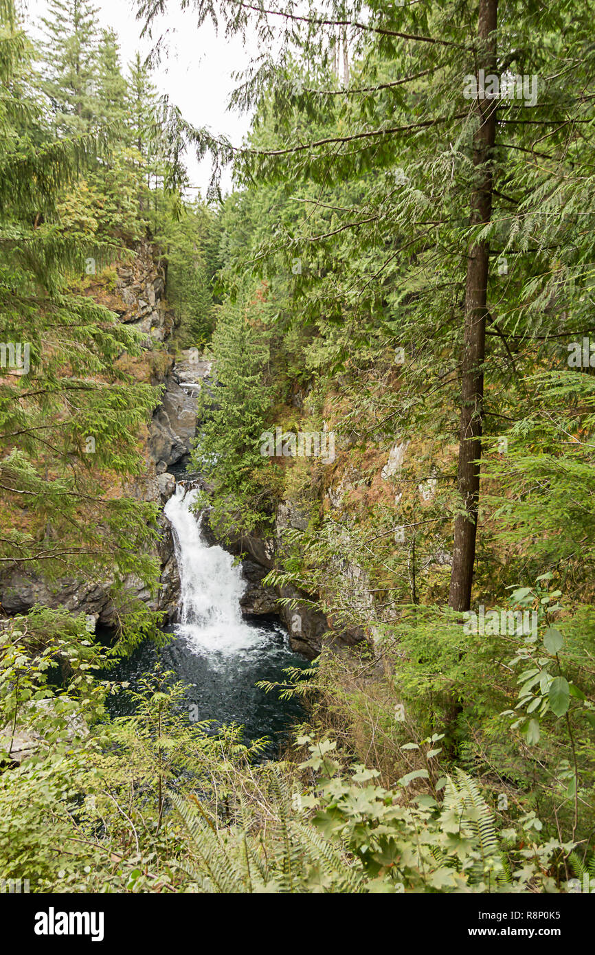 River leading pacific northwest hi-res stock photography and images - Alamy