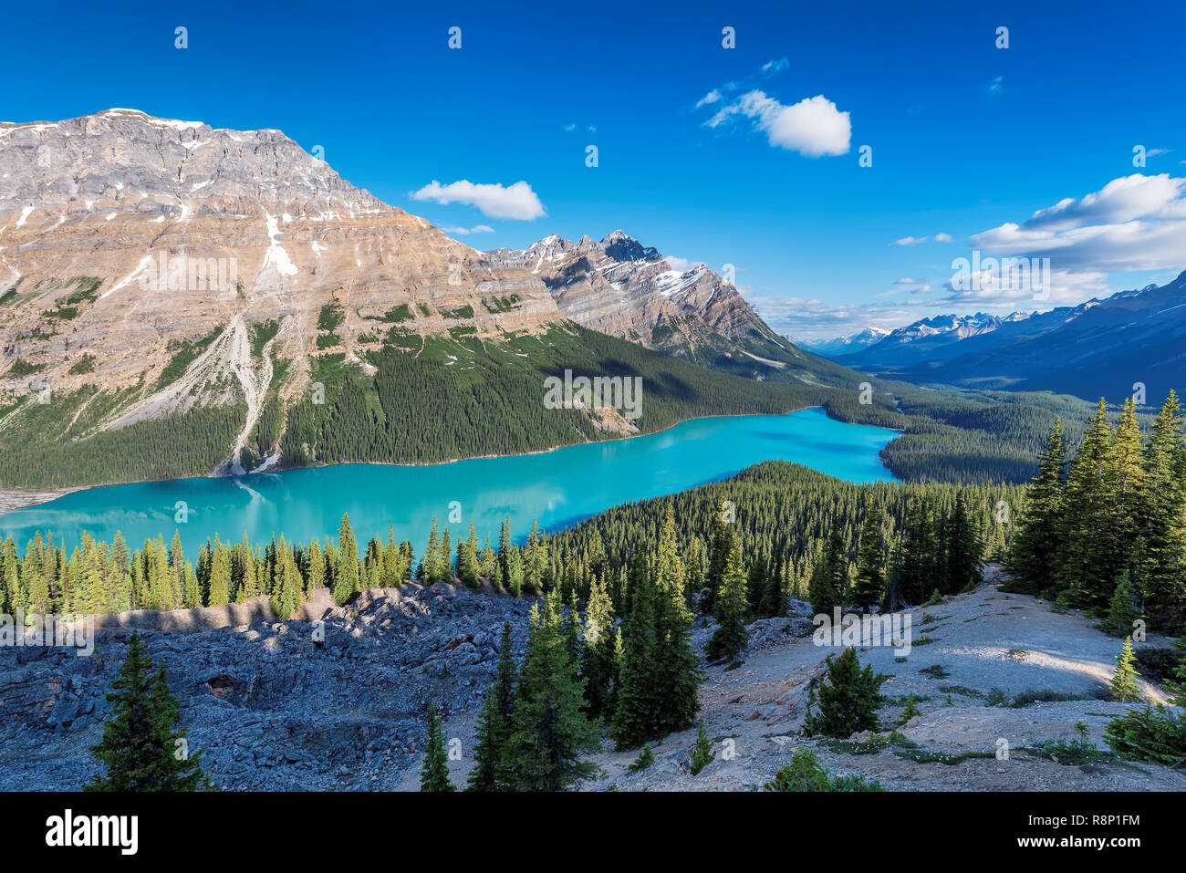 Alberta banff canada peyto lake banff national park canadian rockies hi ...