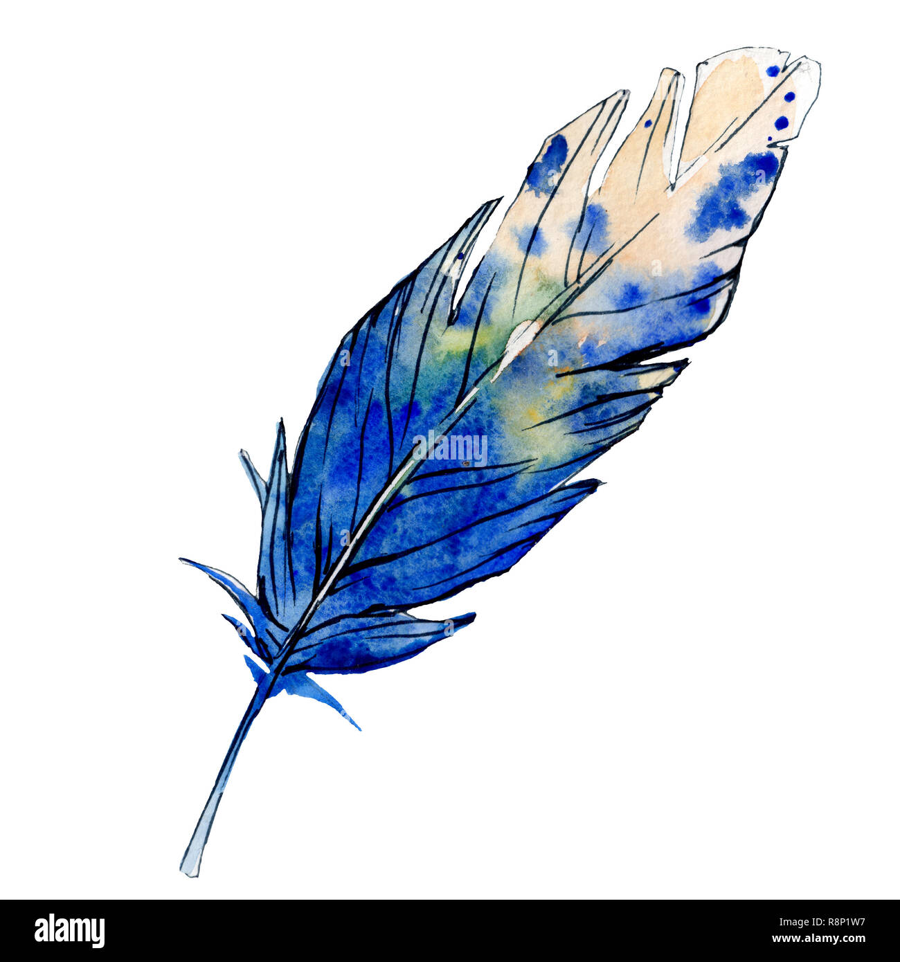 Blue Watercolor Feather