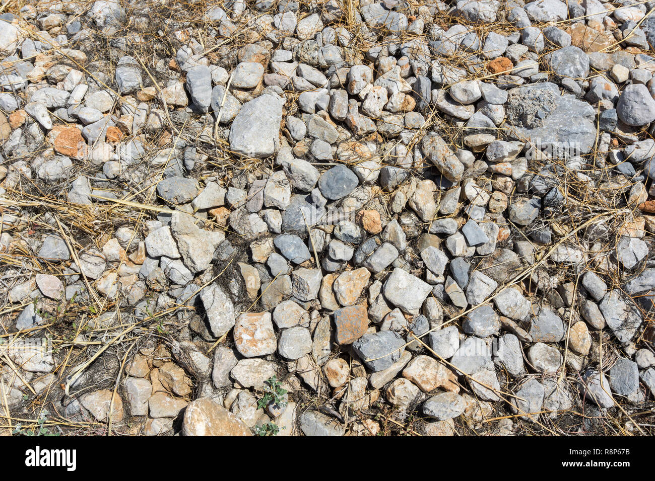 Close-up of a stony Ground of many grey Stones. Stock Photo