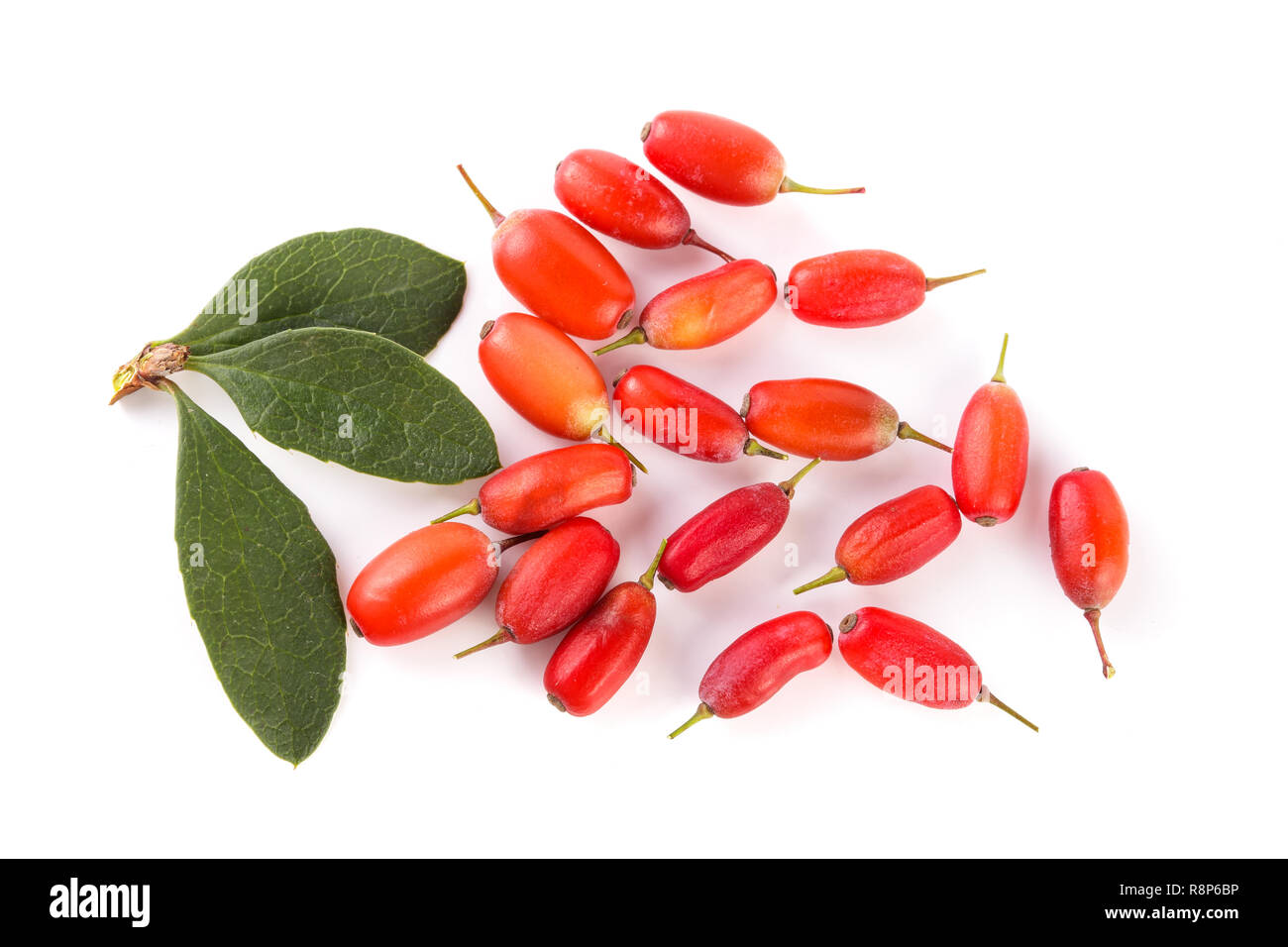 fresh barberry with leaves isolated on a white background. top view