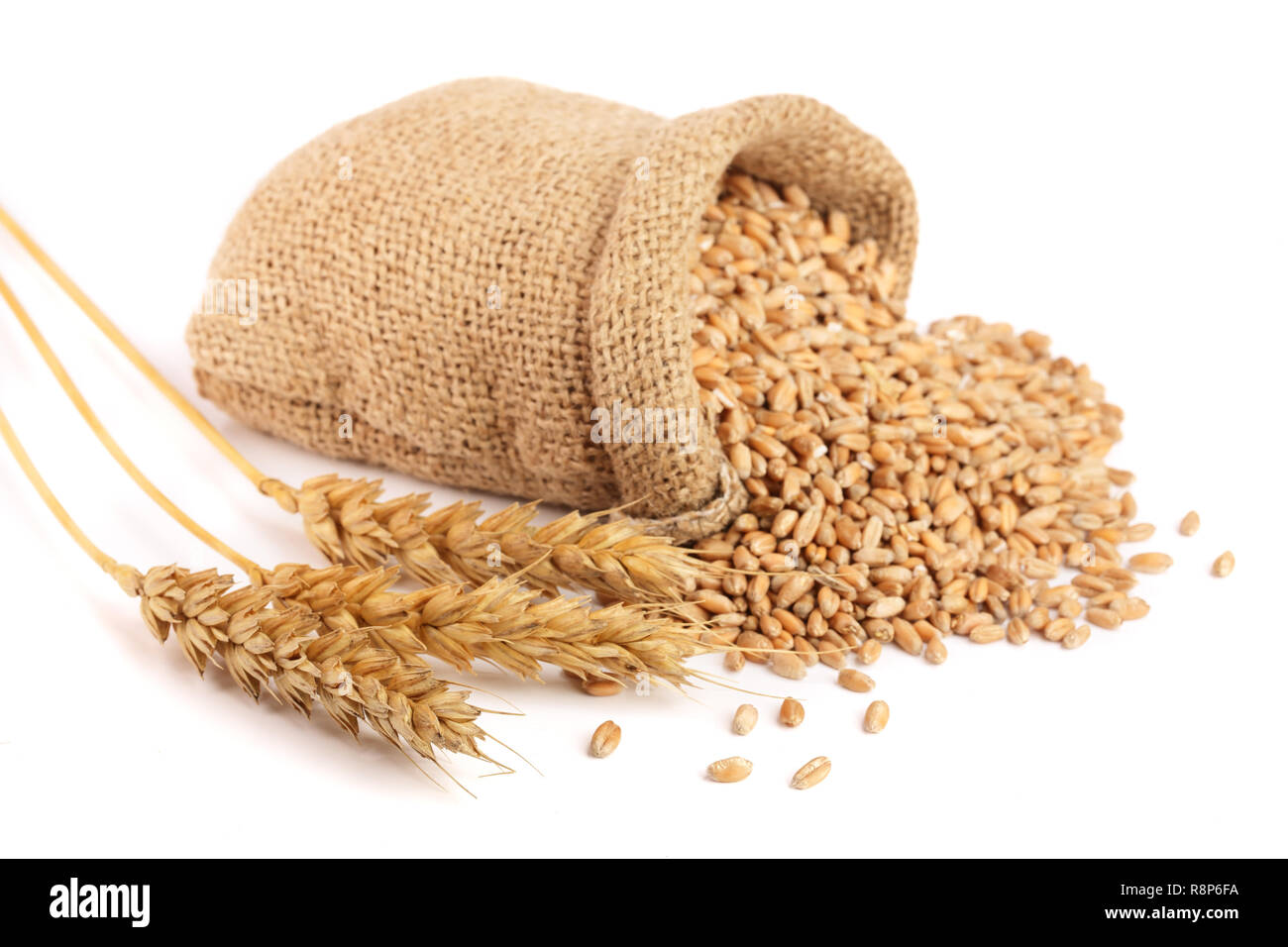 grain bolsa sewing