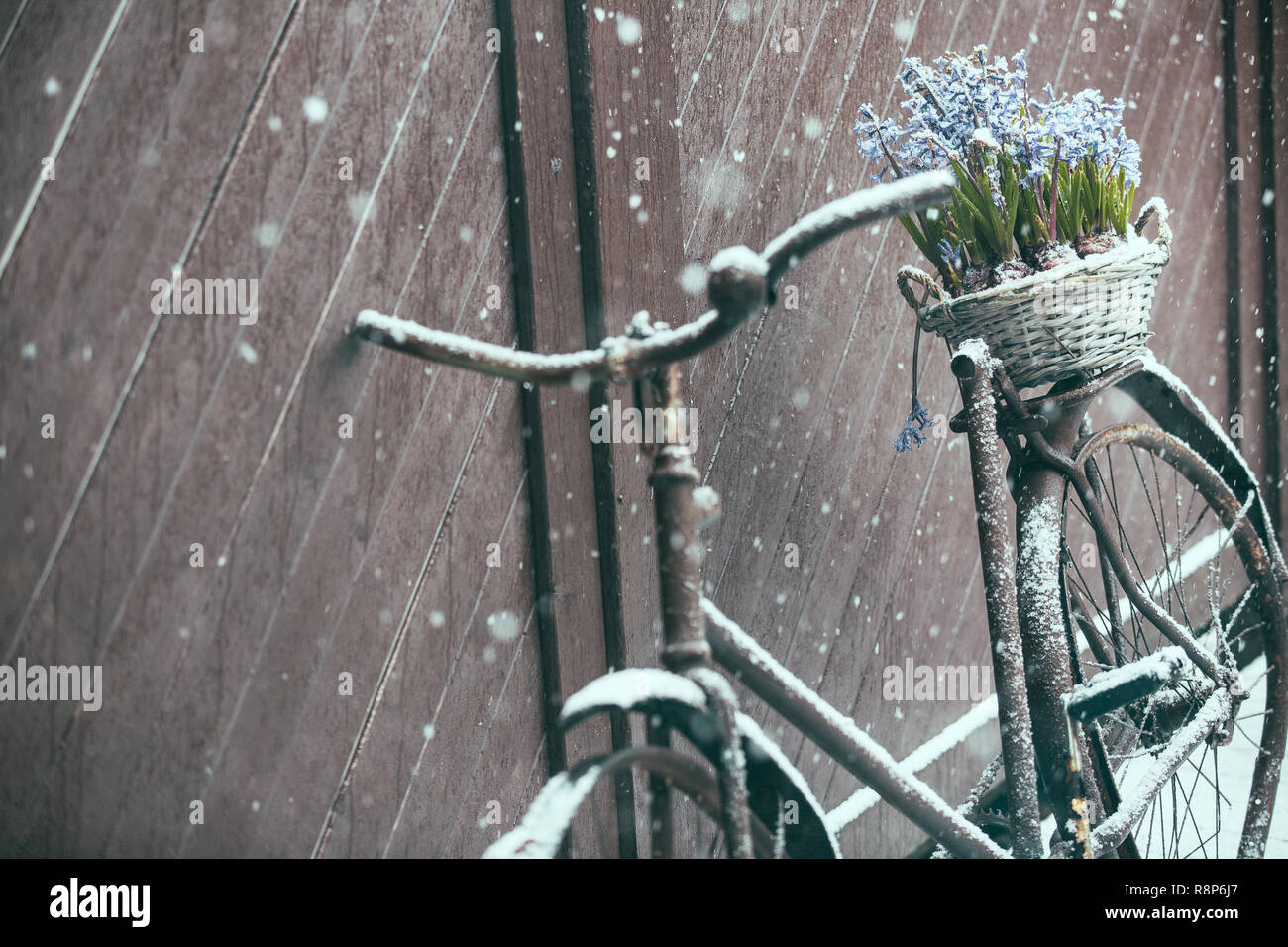 Old wooden fence flowers hi-res stock photography and images - Alamy