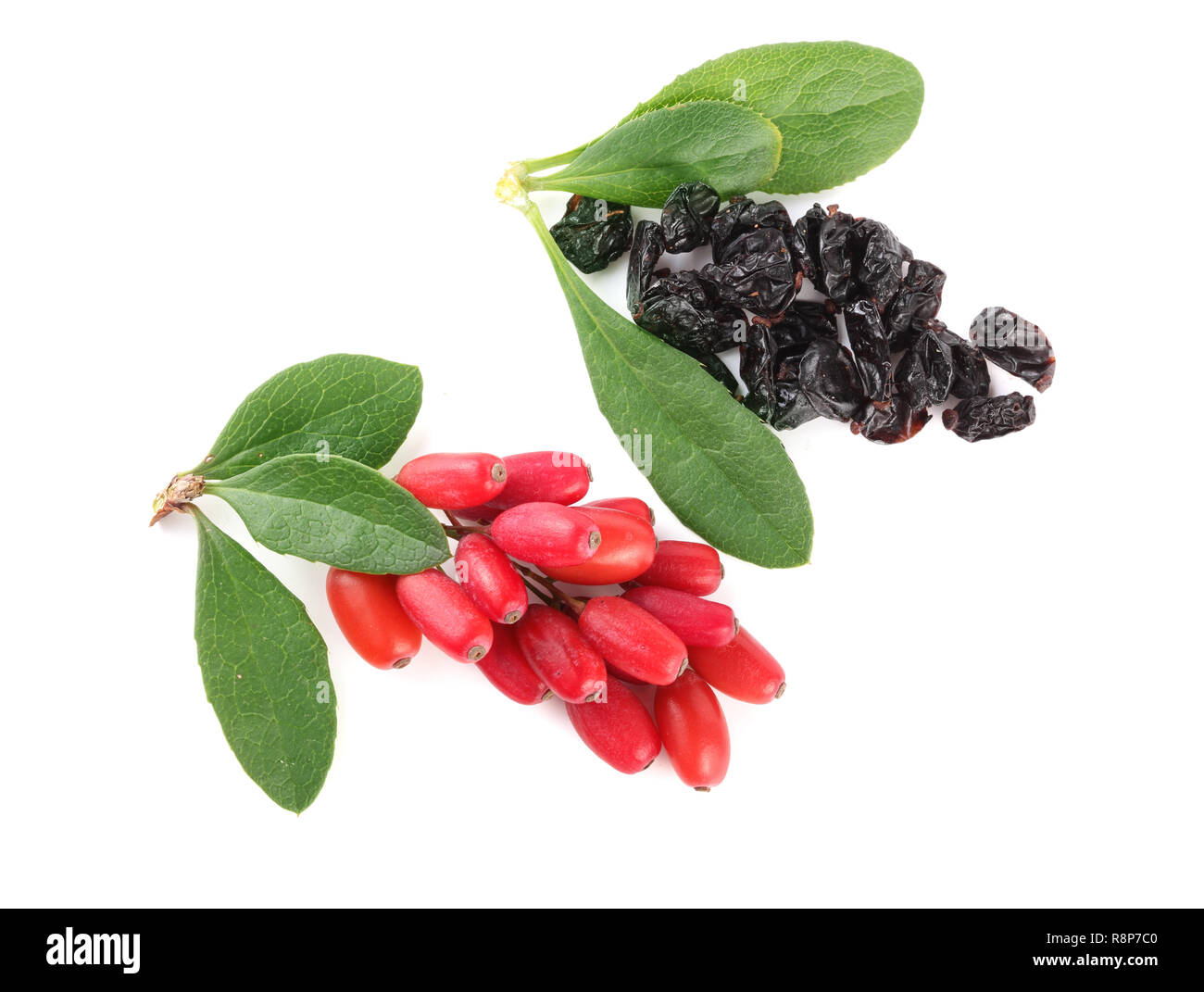 dried and fresh barberry with leaves isolated on white background. top