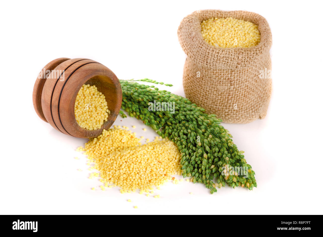 Millet in a bag and bowl with green spikelets isolated on white background Stock Photo