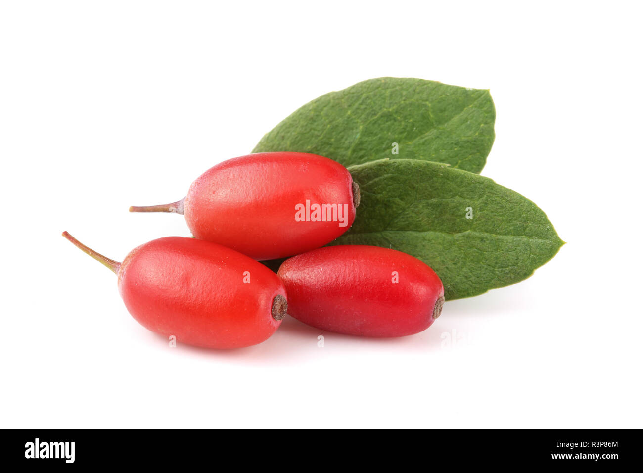 fresh barberry with leaves isolated on a white background Stock Photo