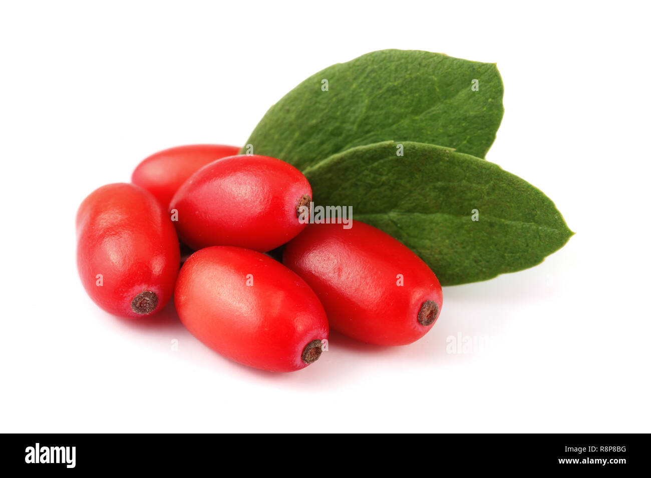 fresh barberry with leaves isolated on a white background Stock Photo