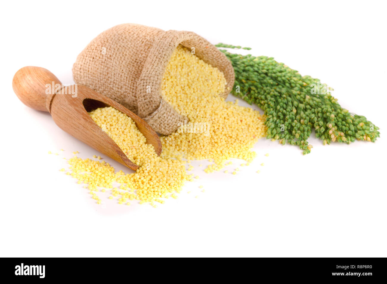 Millet in a bag and scoop with green spikelets isolated on white background Stock Photo