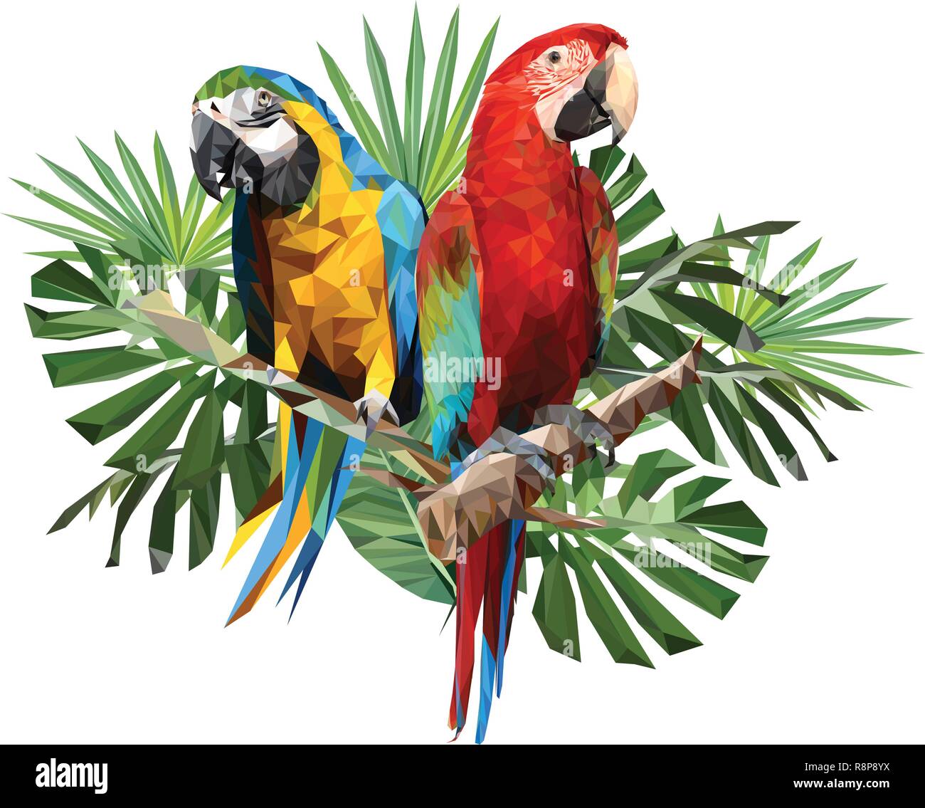 Portrait blue yellow macaw Stock Vector Images Alamy