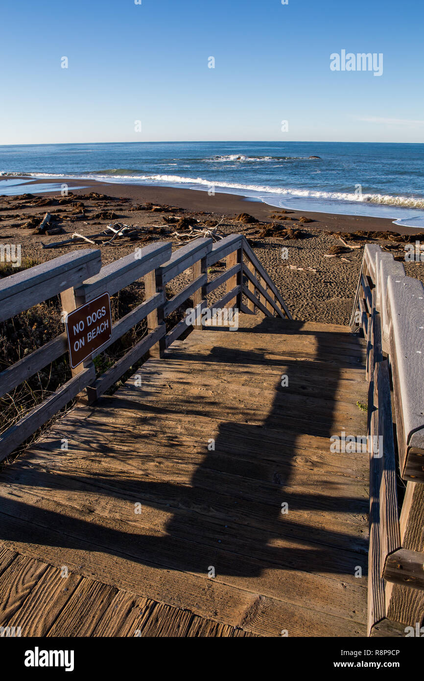 Moonstone Beach Coastline High Resolution Stock Photography and Images ...