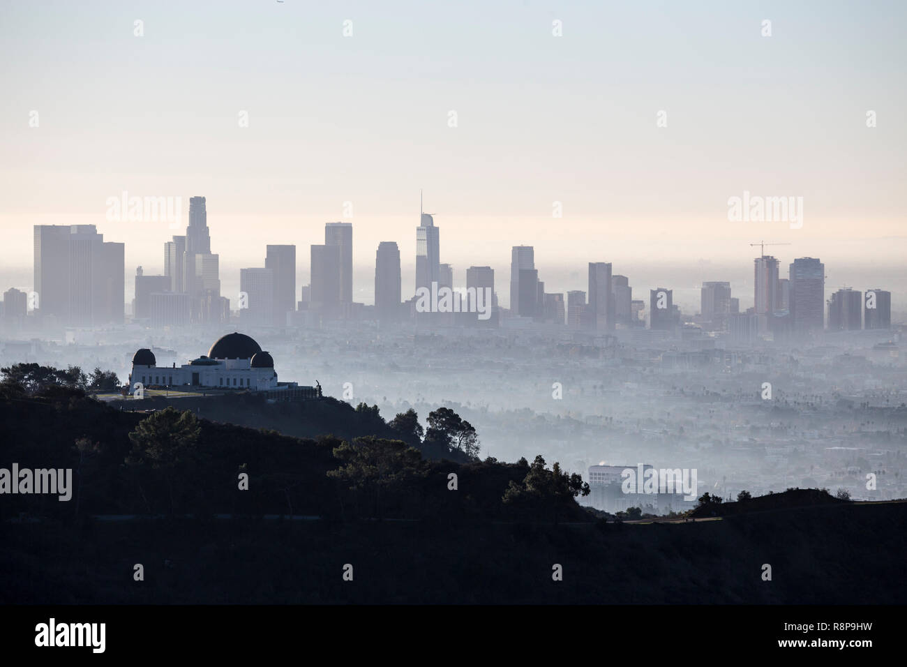 Hazy early morning view of downtown Los Angeles from popular Griffith Park above Hollywood, California. Stock Photo