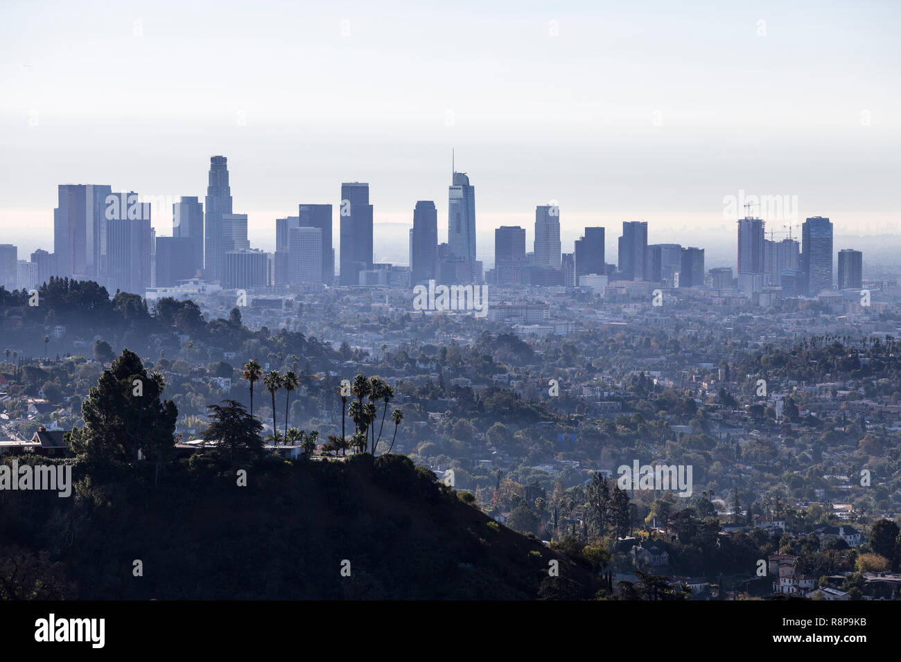 Morning cityscape view of downtown Los Angeles from popular Griffith Park near Hollywood California. Stock Photo