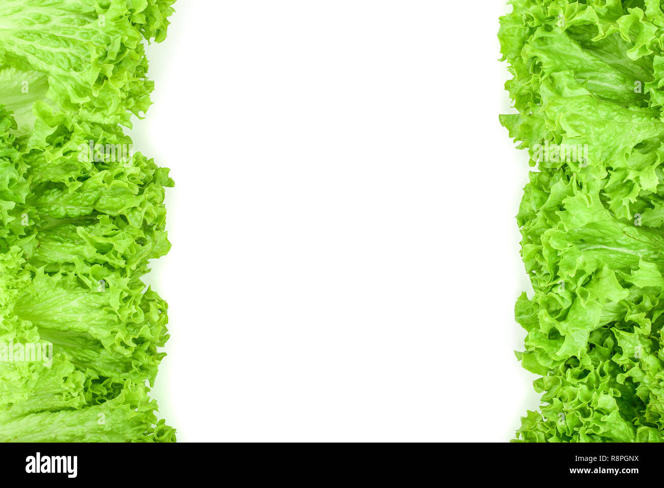 Lettuce leaf isolated on white background with copy space for your text. Set or collection Stock Photo