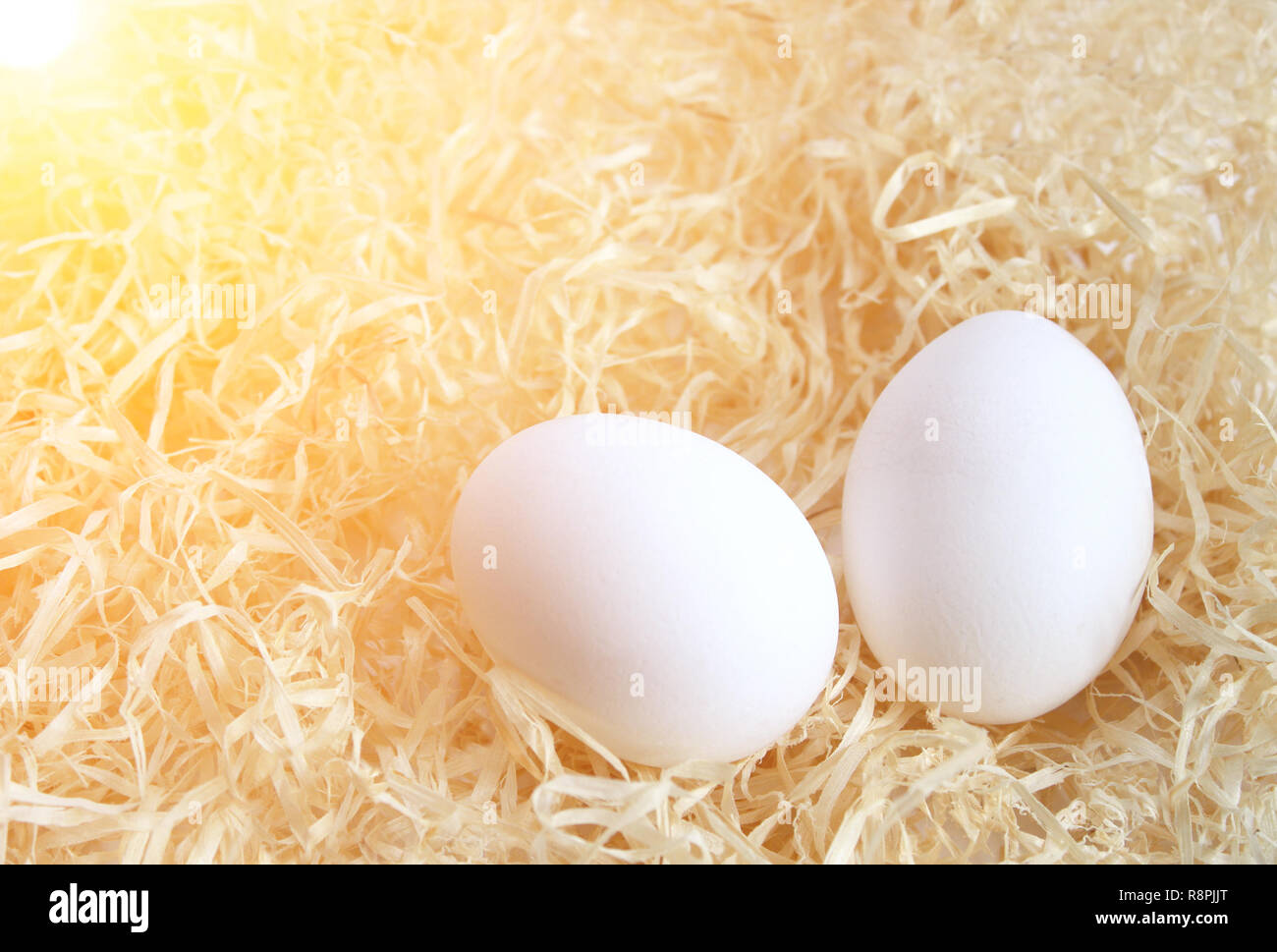 Two eggs laying on hay Stock Photo