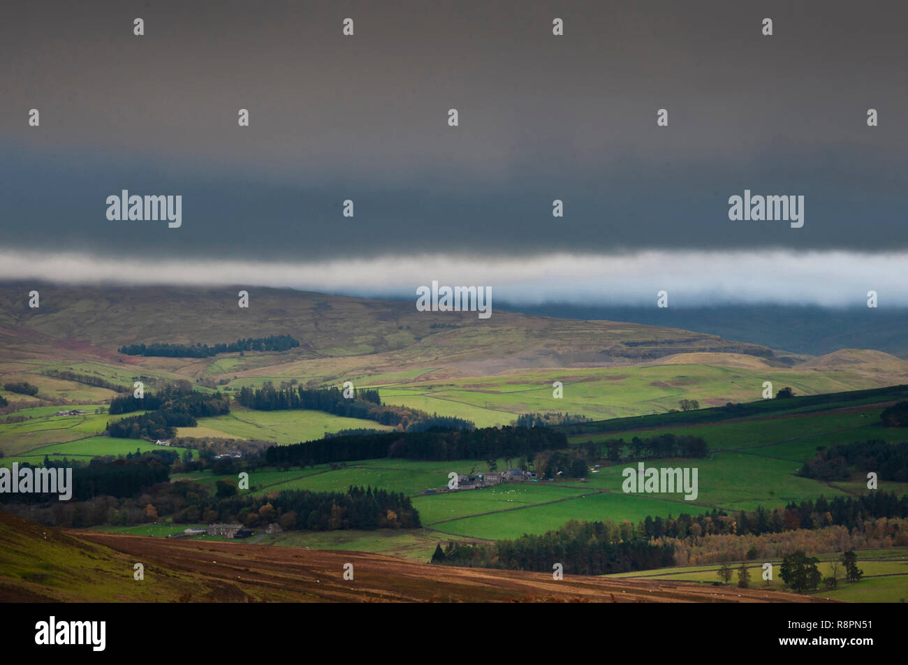 View of Weardale, near Stanhope, County Durham Stock Photo