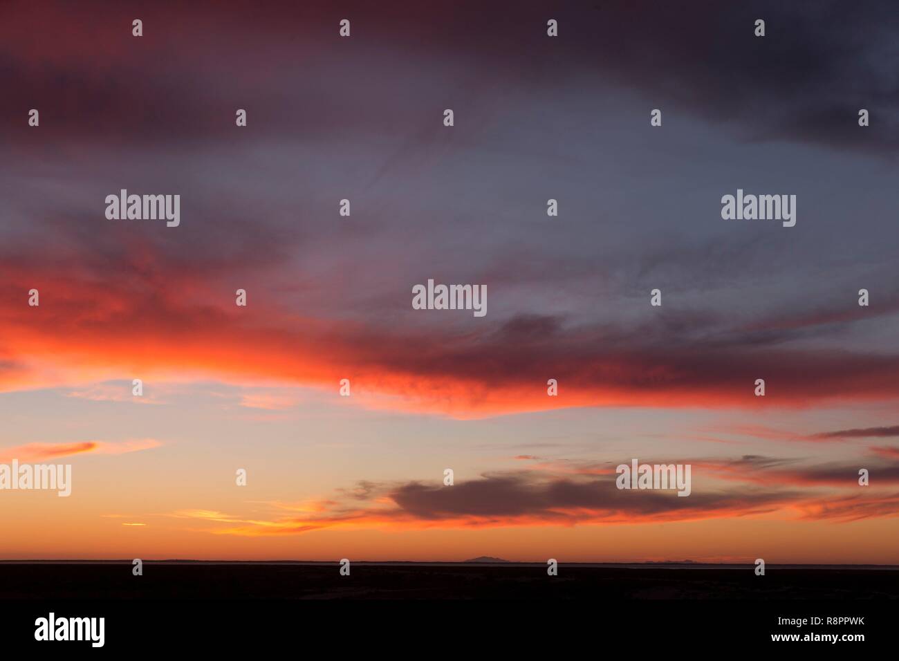 Mexico, Baja California Sur, Guerrero Negro, Ojo de Liebre Lagoon