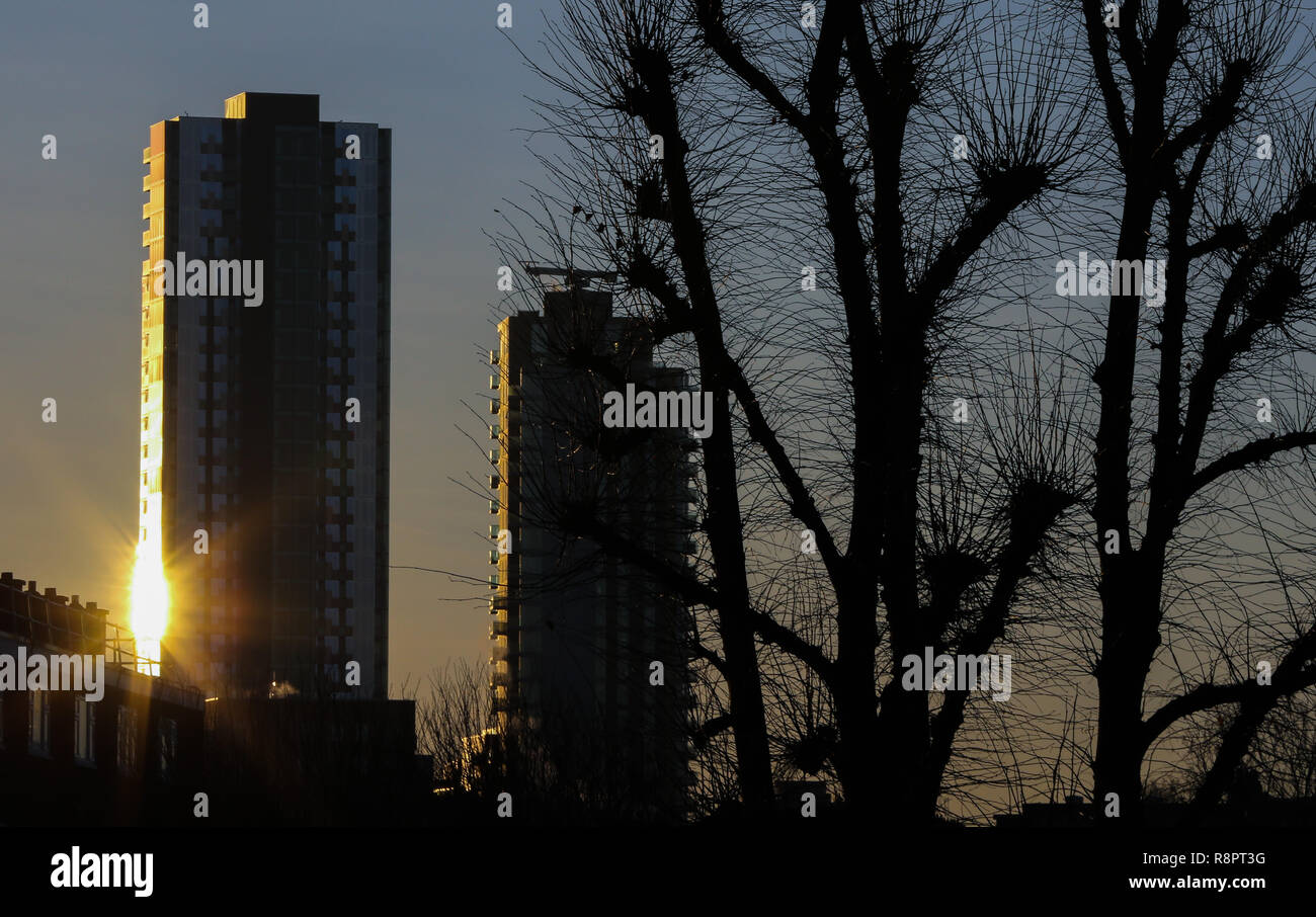 A reflection of sun rays in a high rise tower block's windows and silhouette of trees branches are seen during a winter golden sun rise in London. Stock Photo