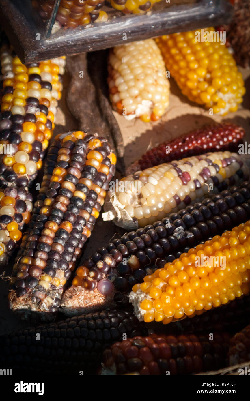 Corn At Farmer's Market Stock Photo