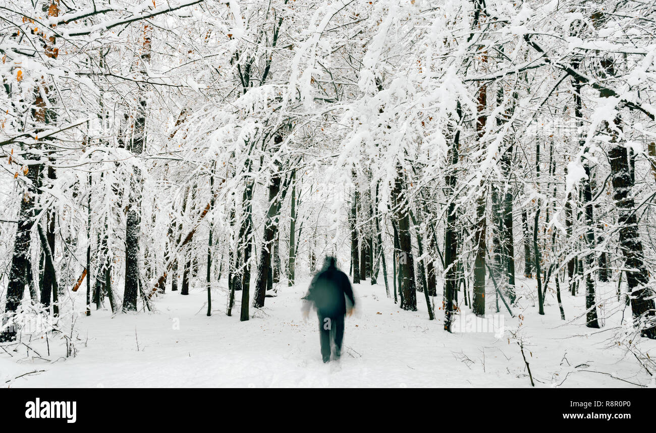 Snowy weather in forest snowdrift hi-res stock photography and images ...