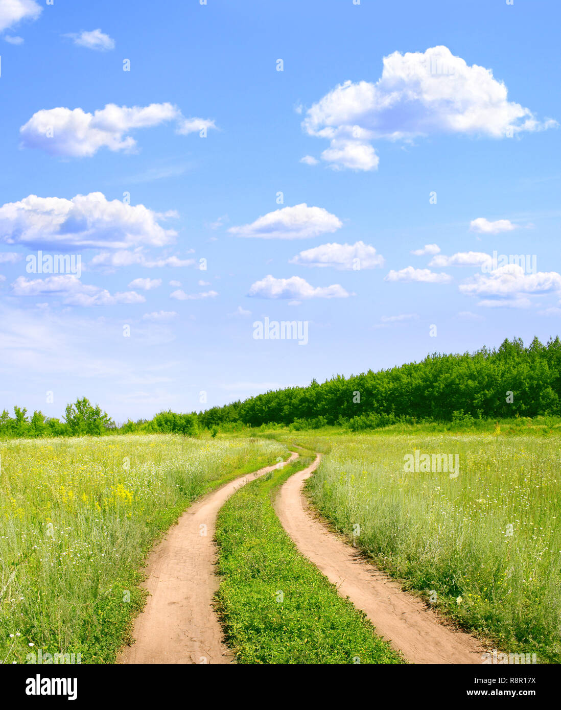 Rural summer landscape with old road Stock Photo - Alamy