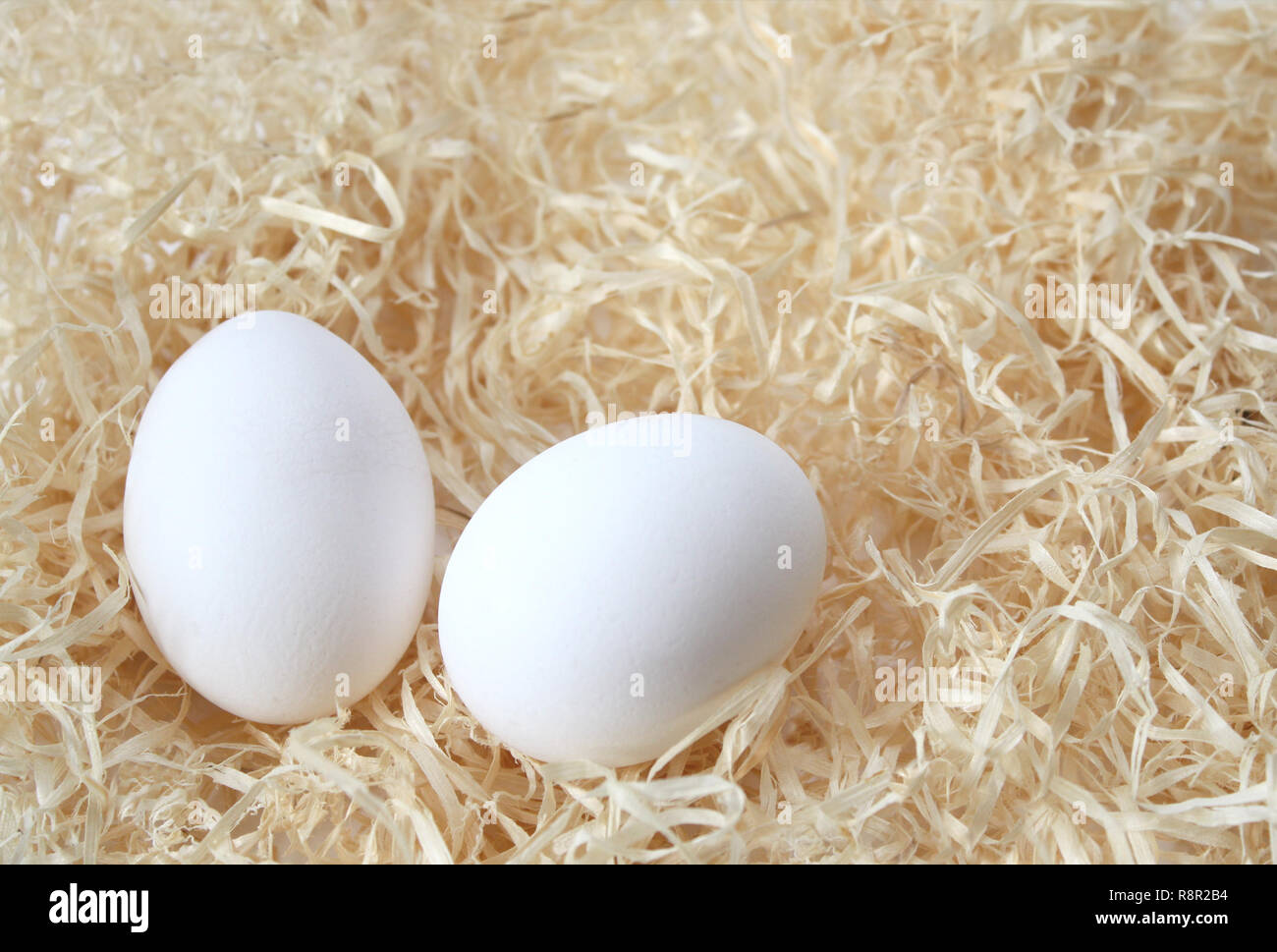 Two eggs laying on hay Stock Photo