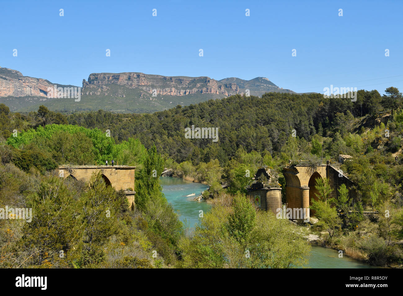 Spain, Hoya de Huesca, Rio Gallego Valley, Los Mallos, Gallego river and Mallos of Riglos Stock Photo