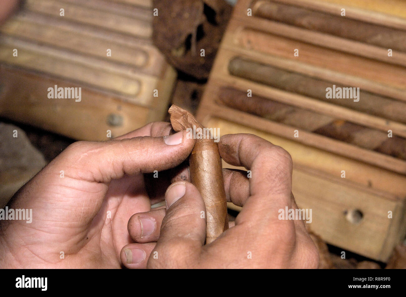 tobacco hands Hand hands tobacco hi-res stock photography and images