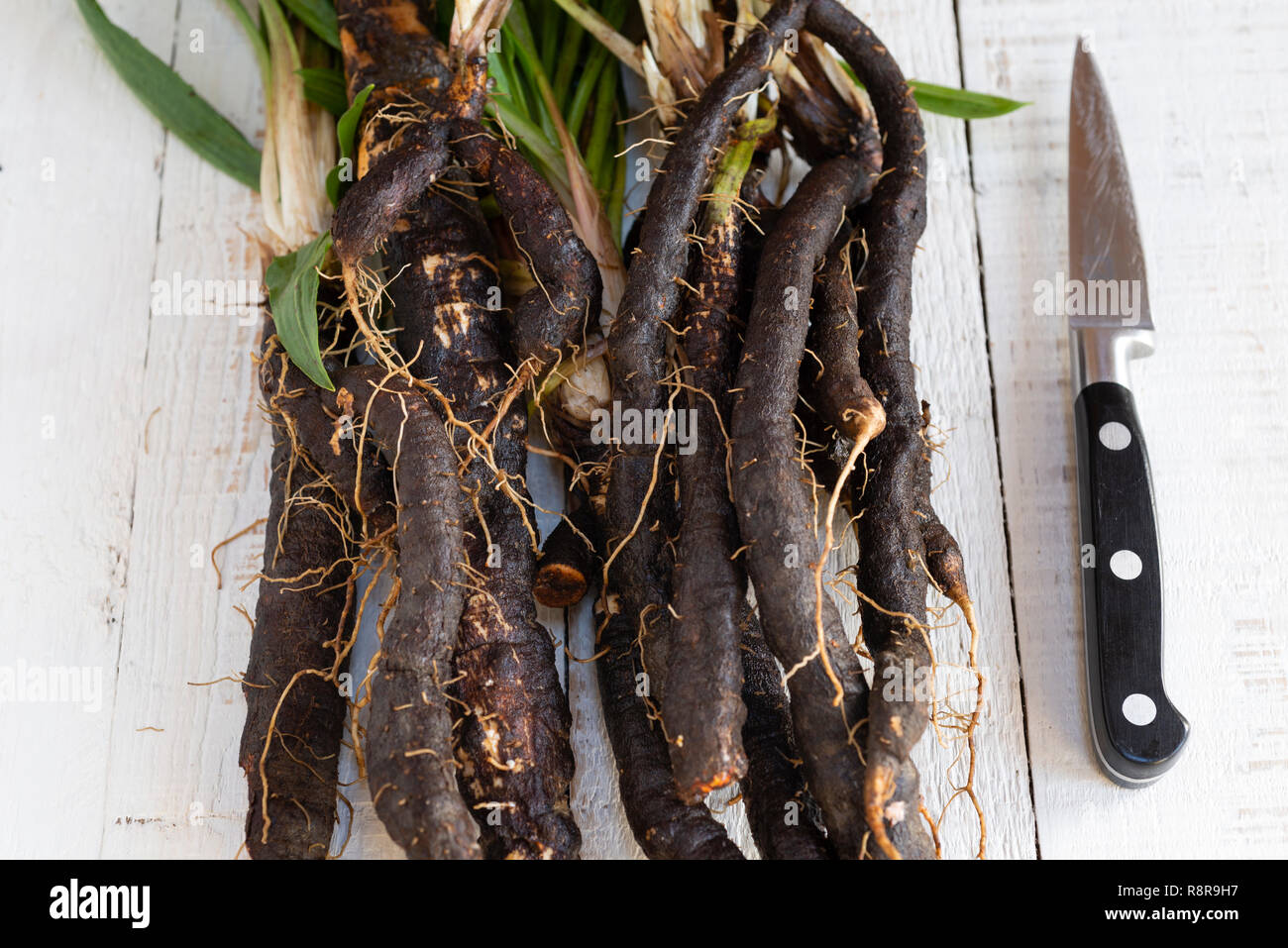 Fresh Scorzonera (black salsify) ready for meal preparation in the kitchen. Stock Photo