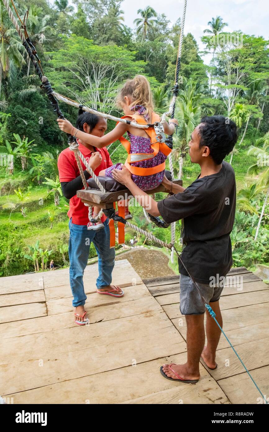 Indonesia, Bali, Center, Ubud Region, Giant Giant Giant Rope Above ...
