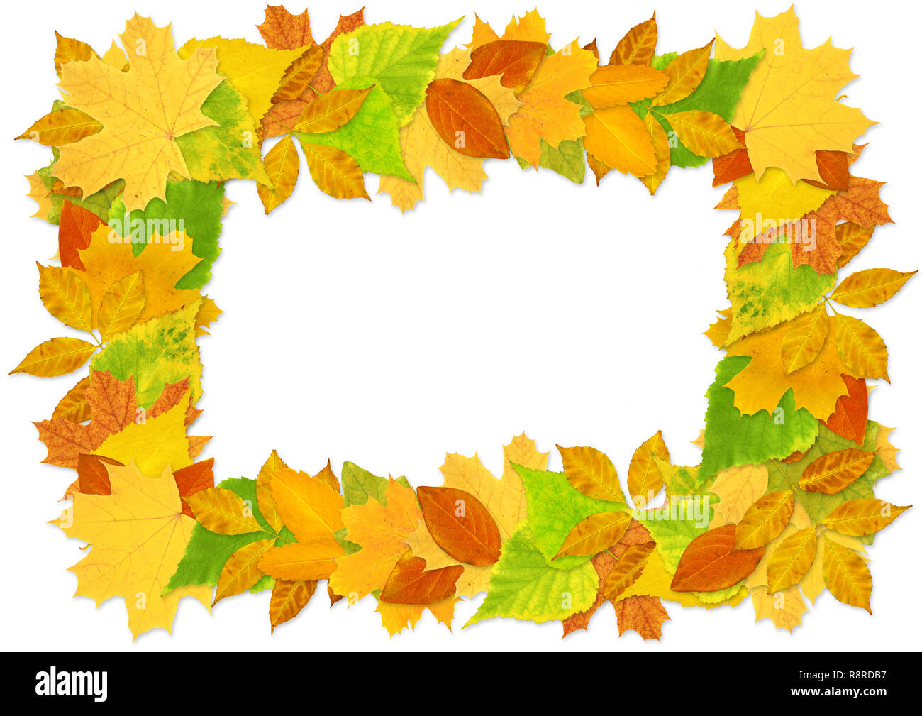 Decorative frame from bright autumn leaves Stock Photo - Alamy